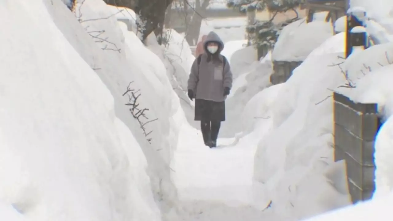 46 человек стали жертвами снегопадов в Японии