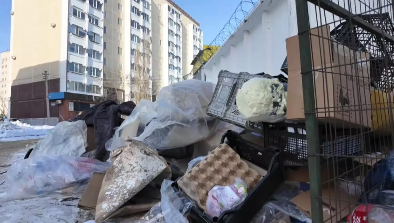 Қостанайда күрделі мәселеге айналған 30 қоқыс орыны анықталды