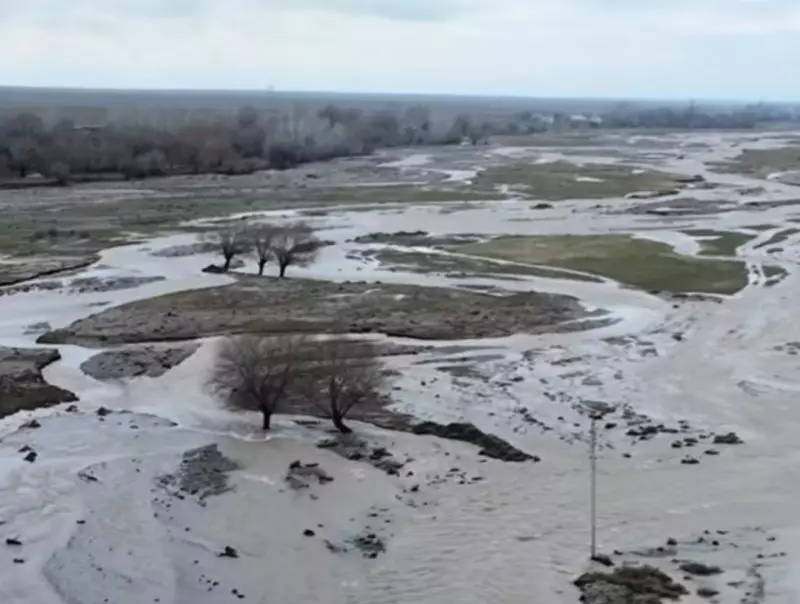 Река вышла из берегов: в Туркестанской области спасли 29 человек