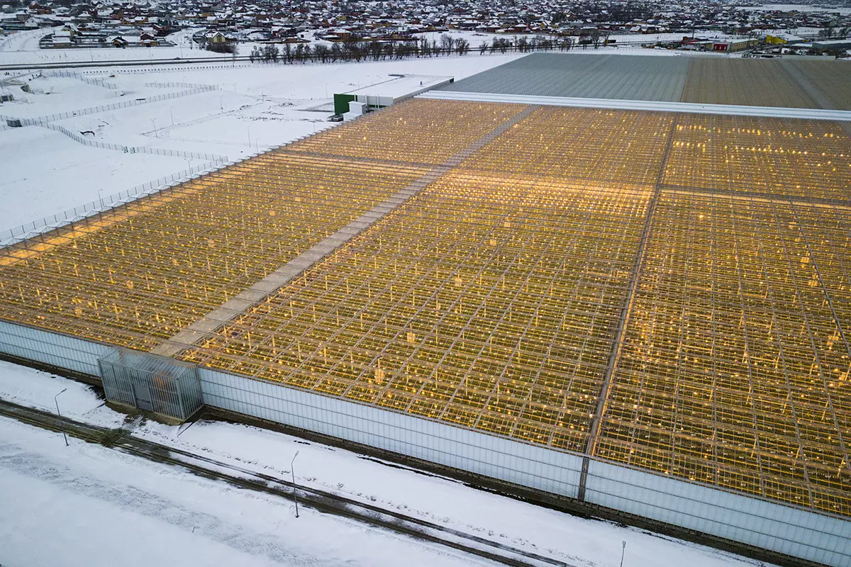 Казахстан запустит крупнейший в Туркестане промышленный тепличный комплекс.