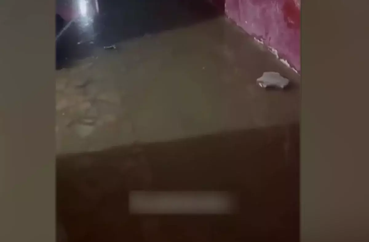 Қарасай ауданындағы көпқабатты тұрғын үйлердің бірін нәжіс суы басып қалды