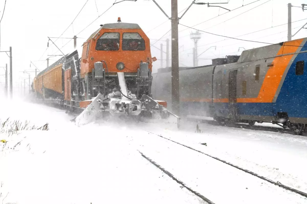 Если стало плохо соседу: инструкция для пассажиров на случай ЧП в поезде