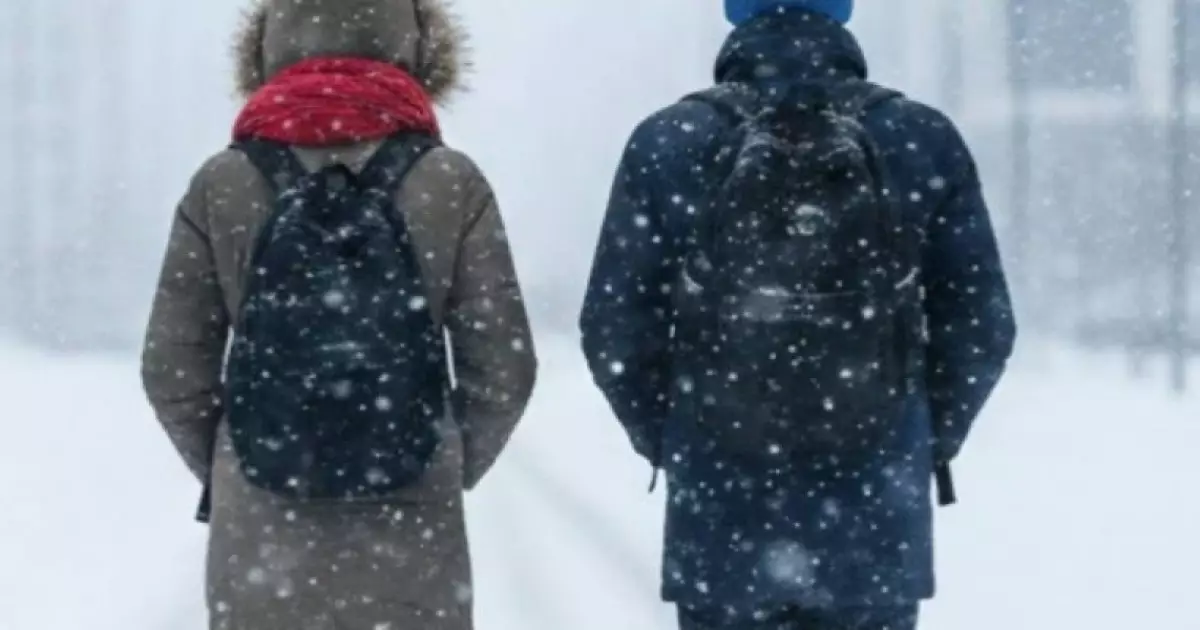  Астанада мектеп оқушылары қашықтан оқитын болды 