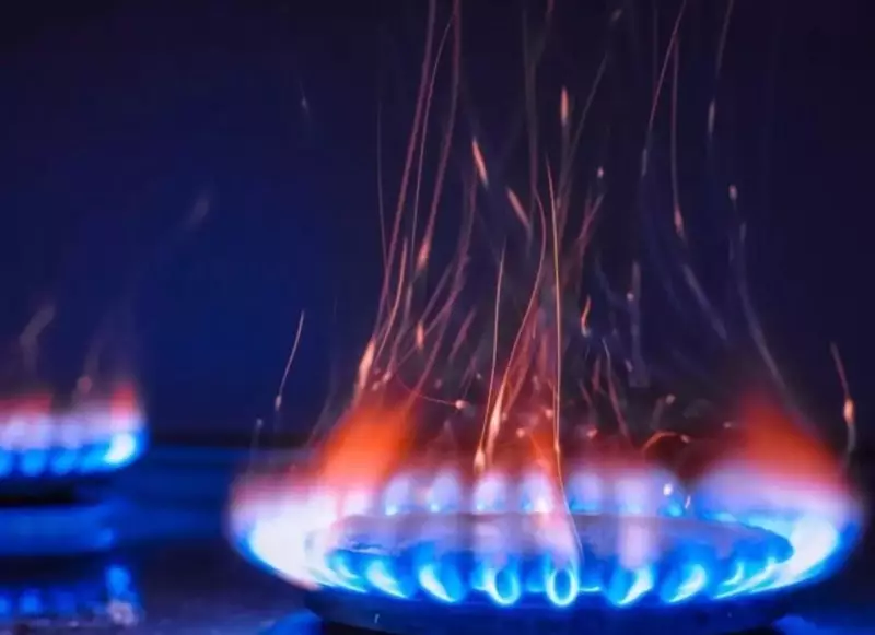В Казахстане хотят повысить цену на газ для некоторых потребителей