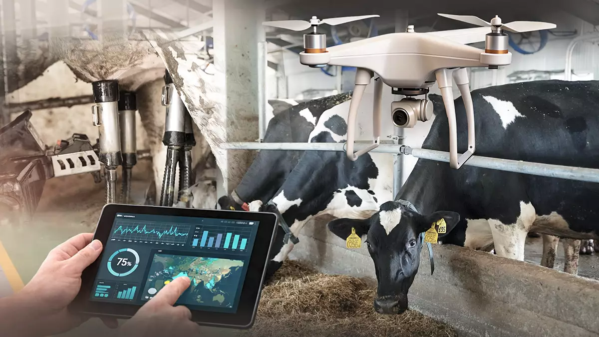 Қазақстан ауыл шаруашылығы цифрлық дәуірге қадам басты