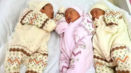 Димаш, Дәулет, Дина: Шымкентте үшем дүниеге келді