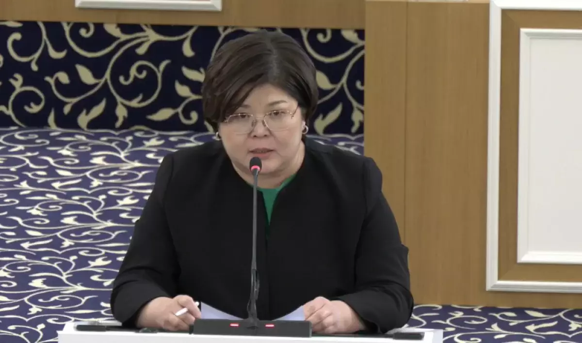 Жаңа Конституция жобасы бойынша 10 мыңнан астам өтініш түскен