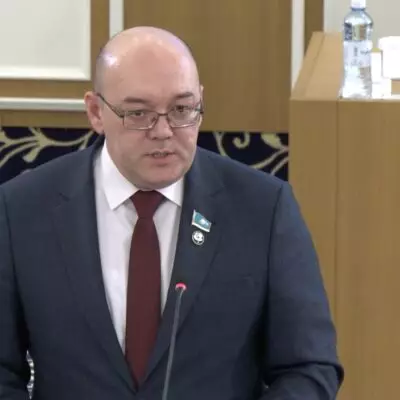 Новая Конституция расширяет возможности граждан для участия в политической жизни страны – глава ОСДП