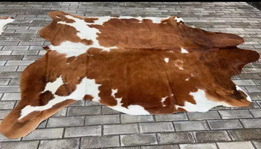 В Казахстане разрабатывают инновационную технологию для выделки шкур.