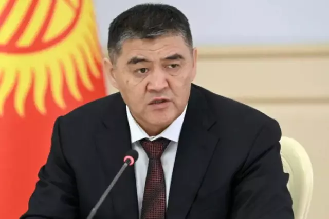 Қамшыбек Тәшиев қызметінен кетуіне қатысты пікір білдірді