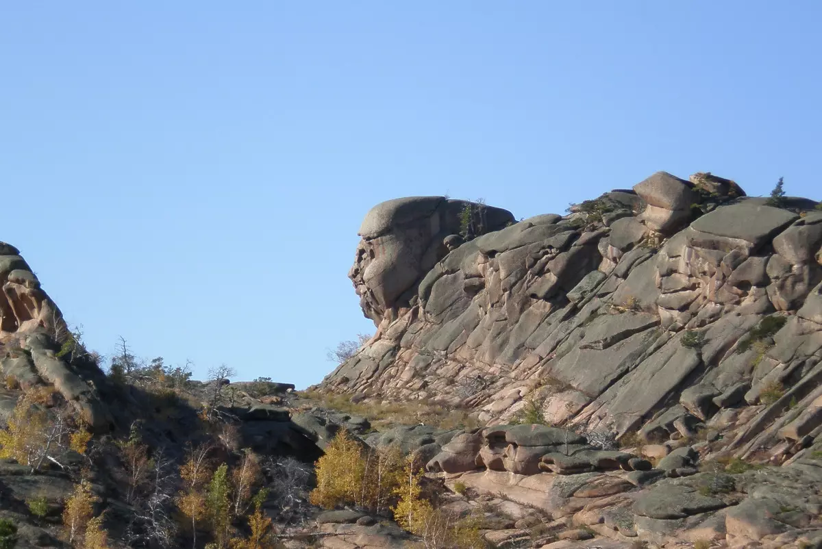 Работники Баянаульского нацпарка подозреваются в контрабанде краснокнижных птиц