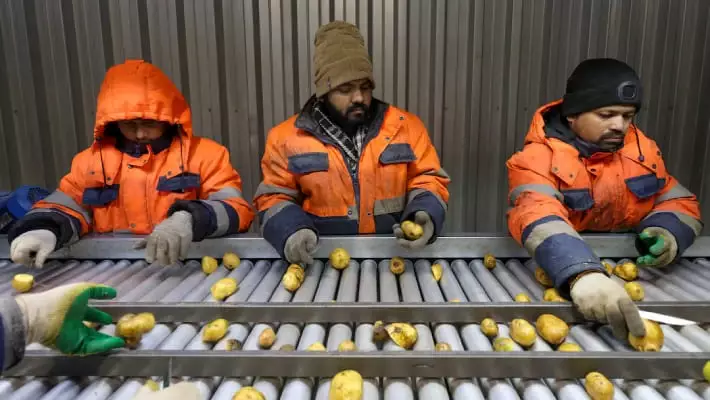 Reuters: Россия заменяет мигрантов из Центральной Азии на индийцев