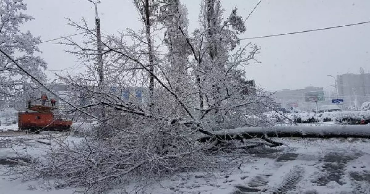  Шымкенттегі аулалардың бірінде 10 жастағы баланың денесі табылды (ВИДЕО) 