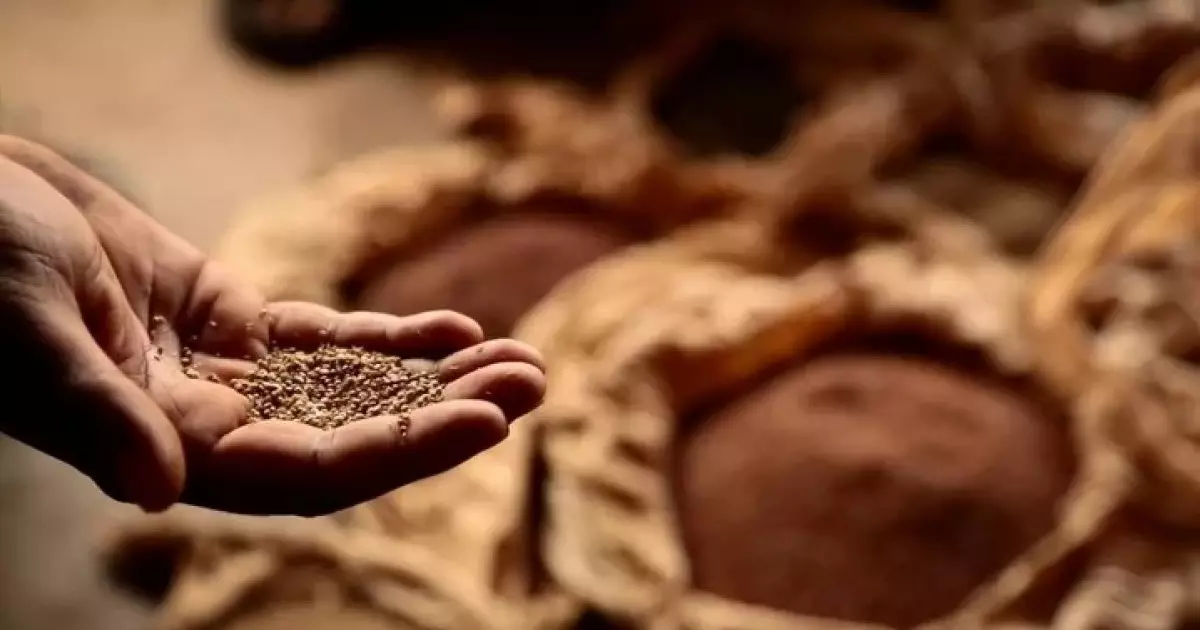  2026 жылғы пітір садақа мөлшері белгілі болды 