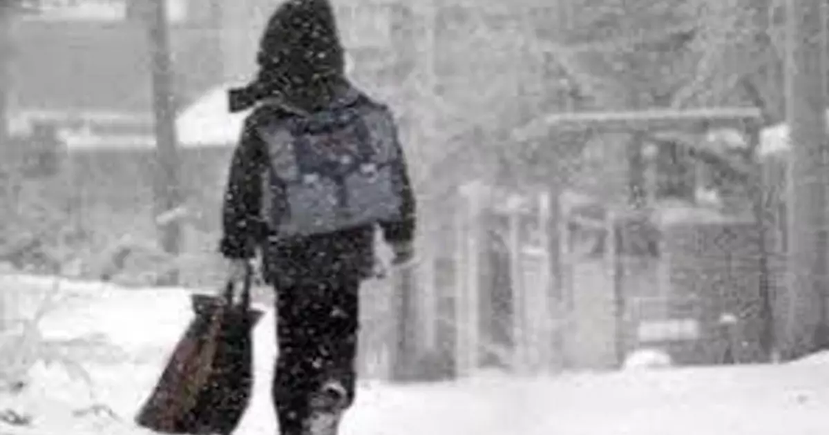   Ертең Астанада оқушылар мен студенттер онлайн оқиды   