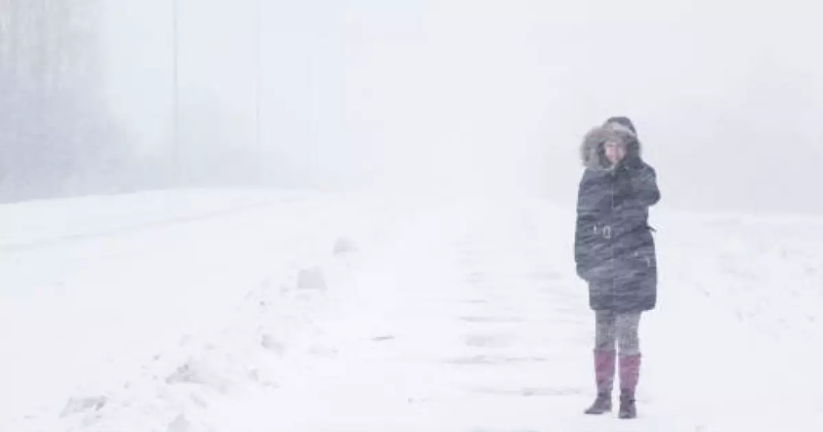  Астанада оқушылар мен студенттер 12 ақпанда онлайн оқиды 