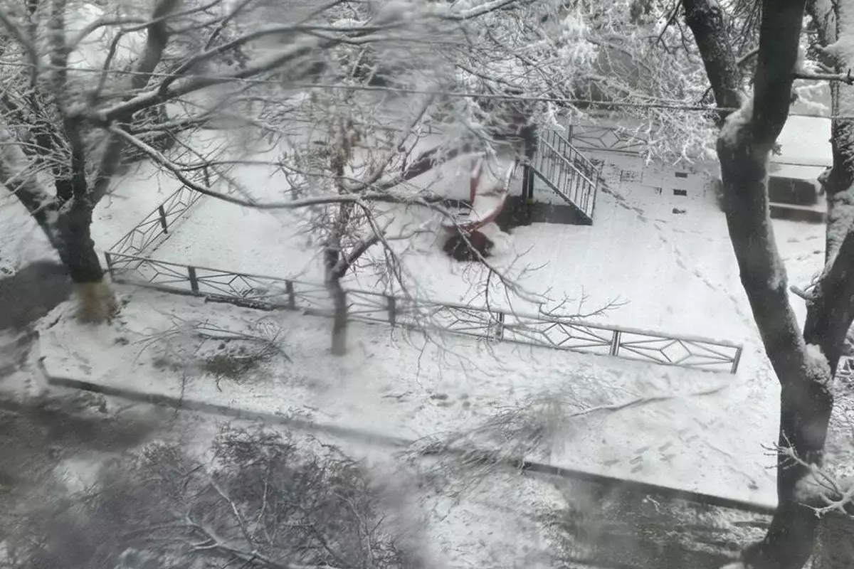 Снегопад в Шымкенте: ребенок погиб под упавшим деревом