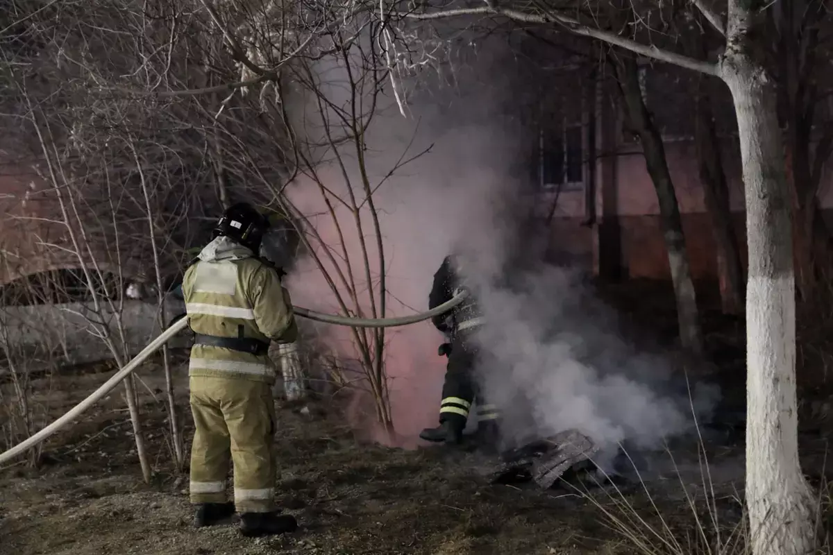 Собачья будка сгорела в Актау: пожарные не исключают факт жестокого обращения с животным - новости на Lada.kz 11.02.2026