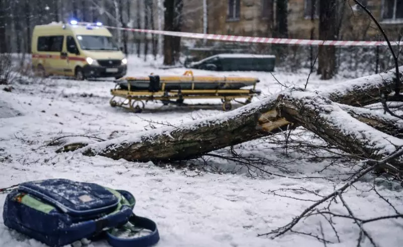 В Шымкенте школьника насмерть придавила ветка дерева