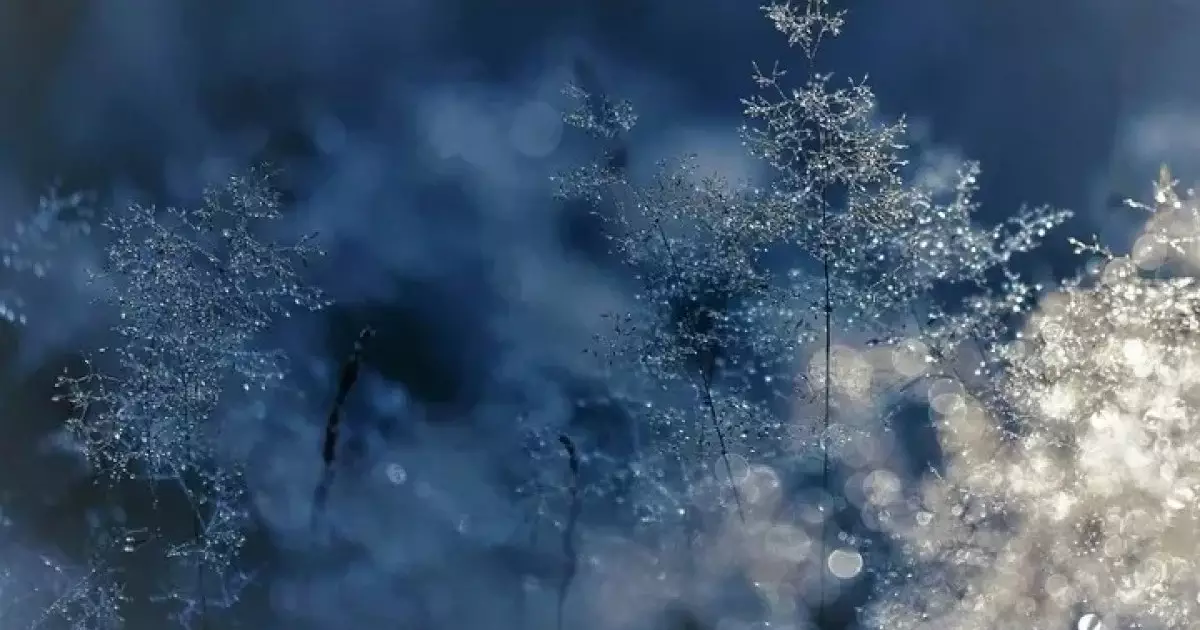  Бүгін қар аралас жаңбыр жауады, аяз болады 