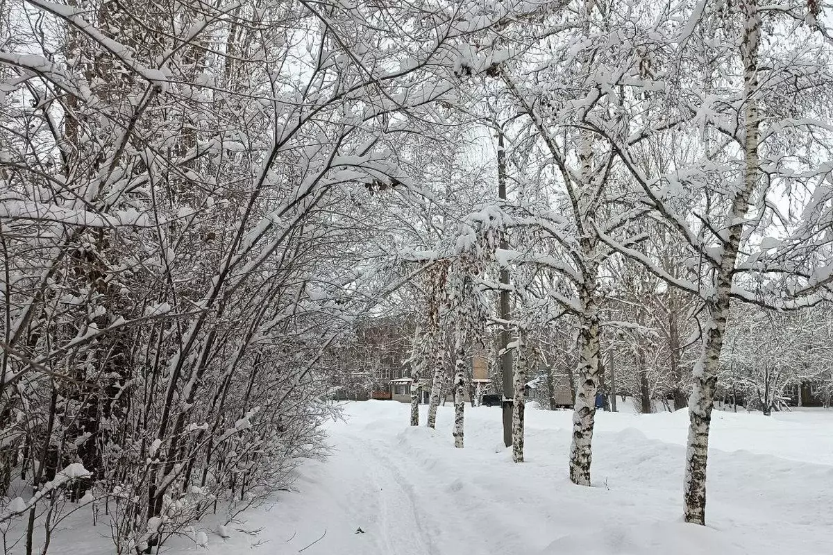 Прогноз погоды в Казахстане на 12 февраля представили синоптики