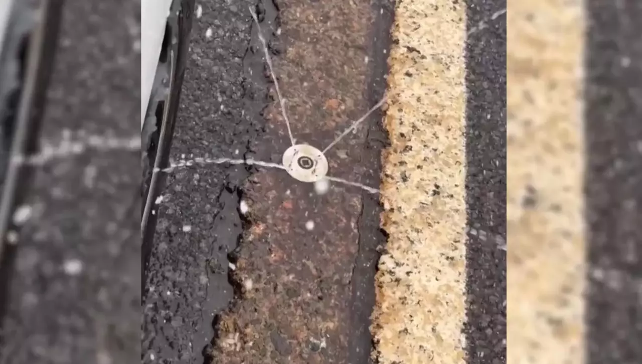 Әлем көктайғақпен қалай күреседі?