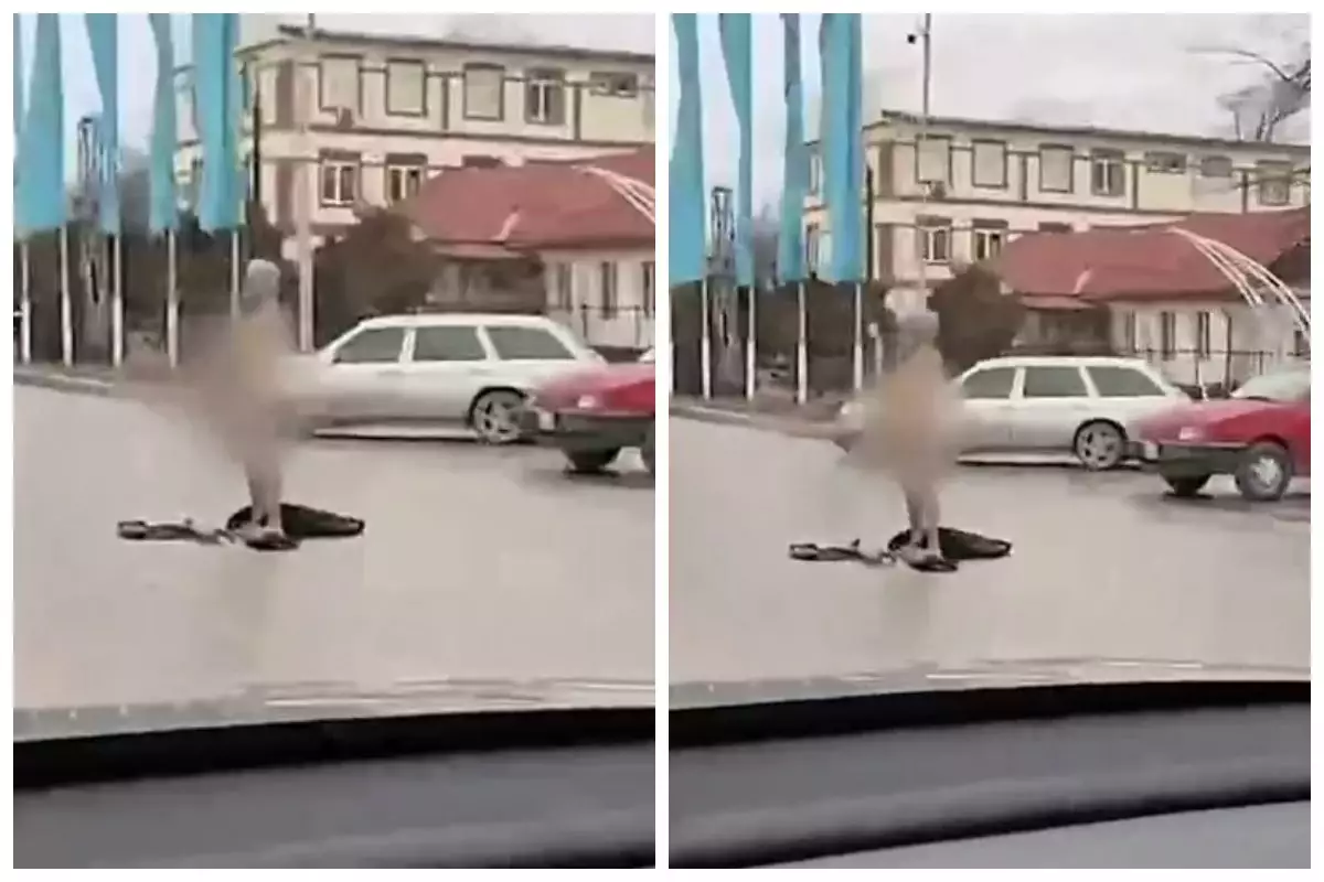 Жамбыл облысында ер адам көшеде тыр жалаңаш жүрген