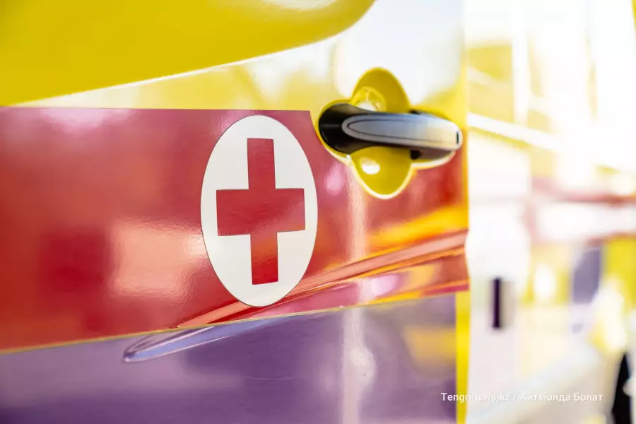 “Сынған ағаш басына тиген болуы мүмкін“: Шымкентте 10 жастағы бала қайтыс болды