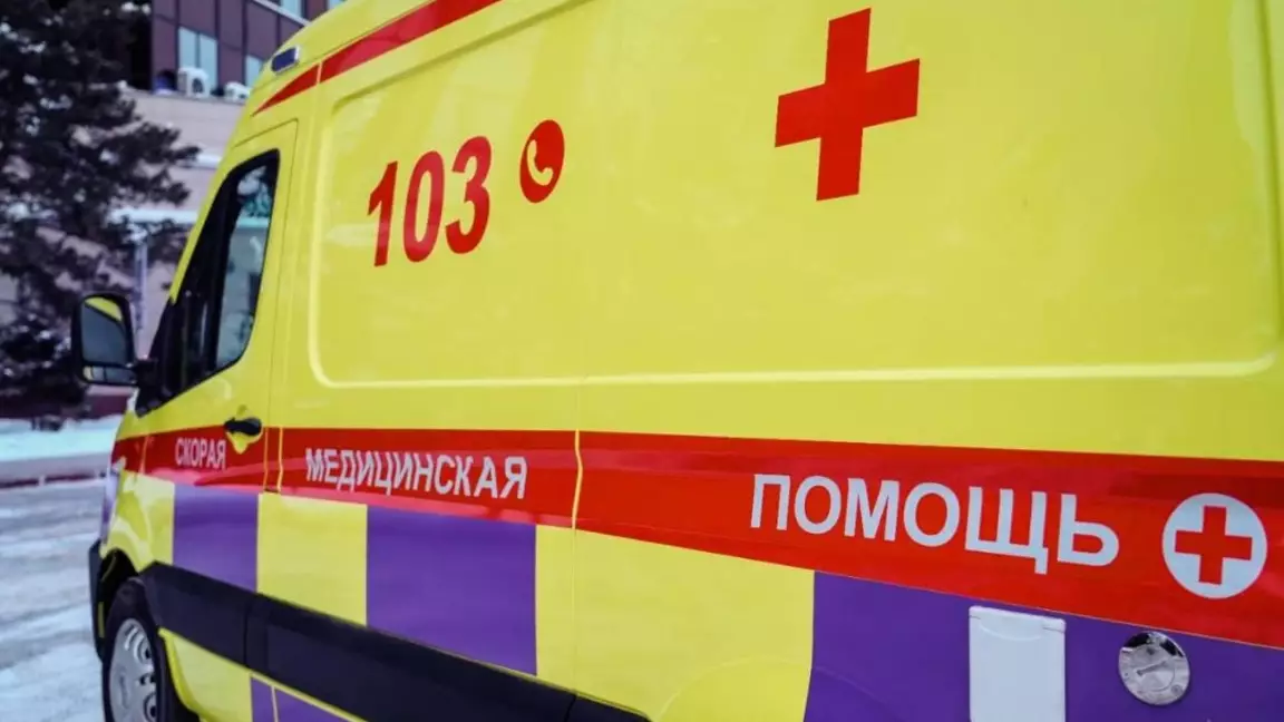 Шымкентте қалың қардан ағаш құлап, 4-сынып оқушысын басып қалды