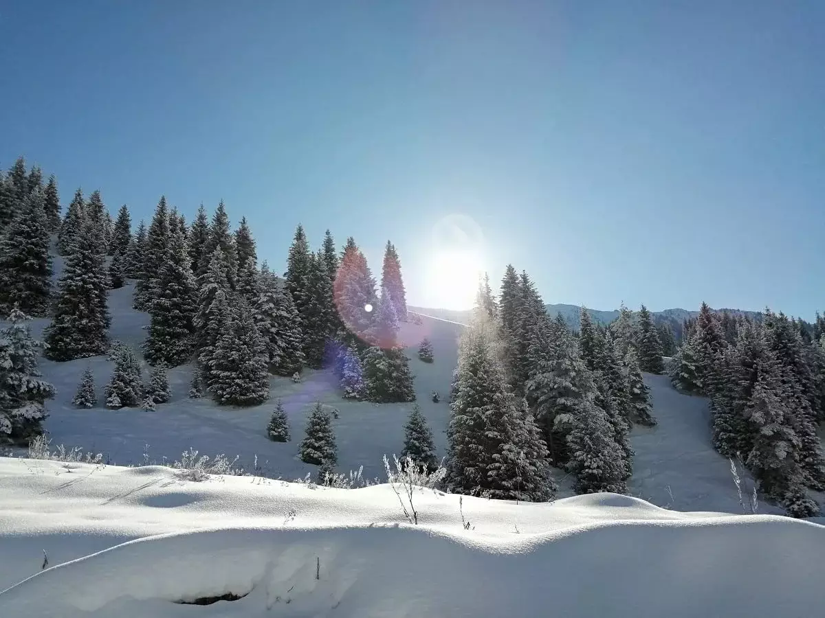 Алматыда 16-22 ақпан аралығында ауа райы қандай болады