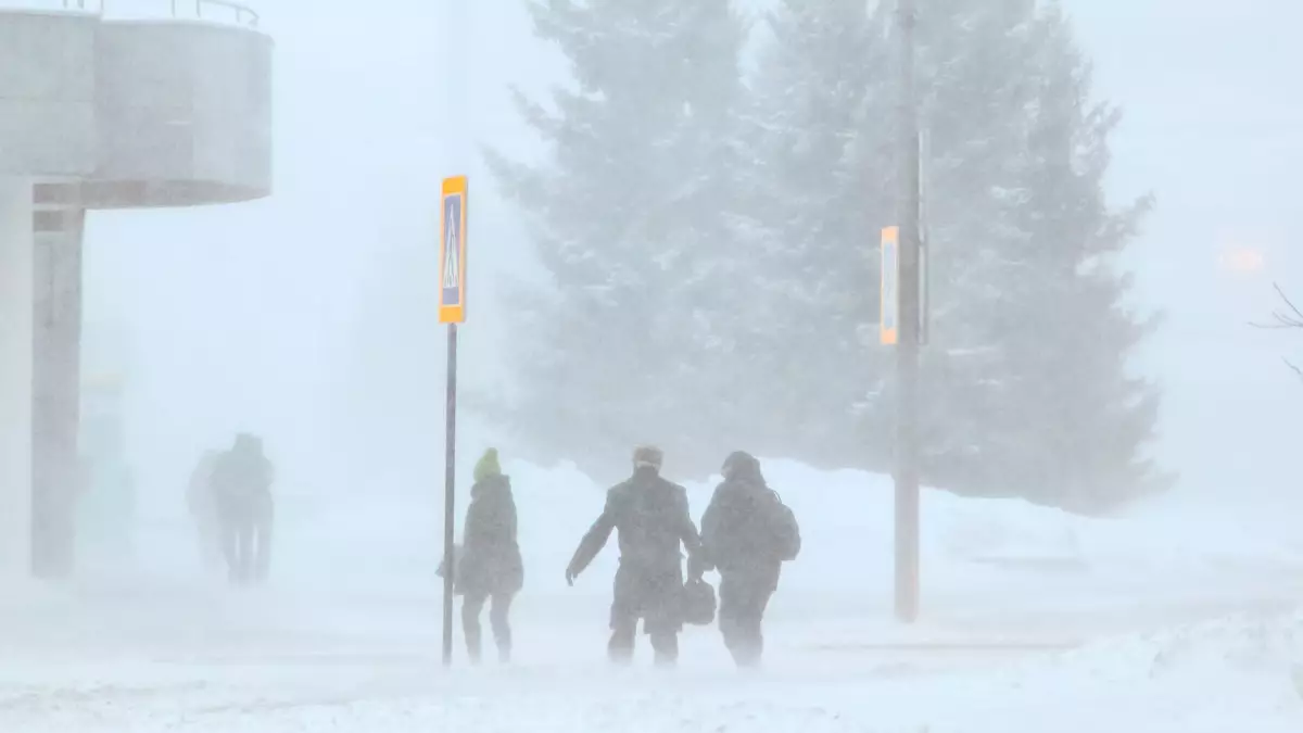 33° аяз, бұрқасын: оқушылар мен студенттер тағы да қашықтан оқиды