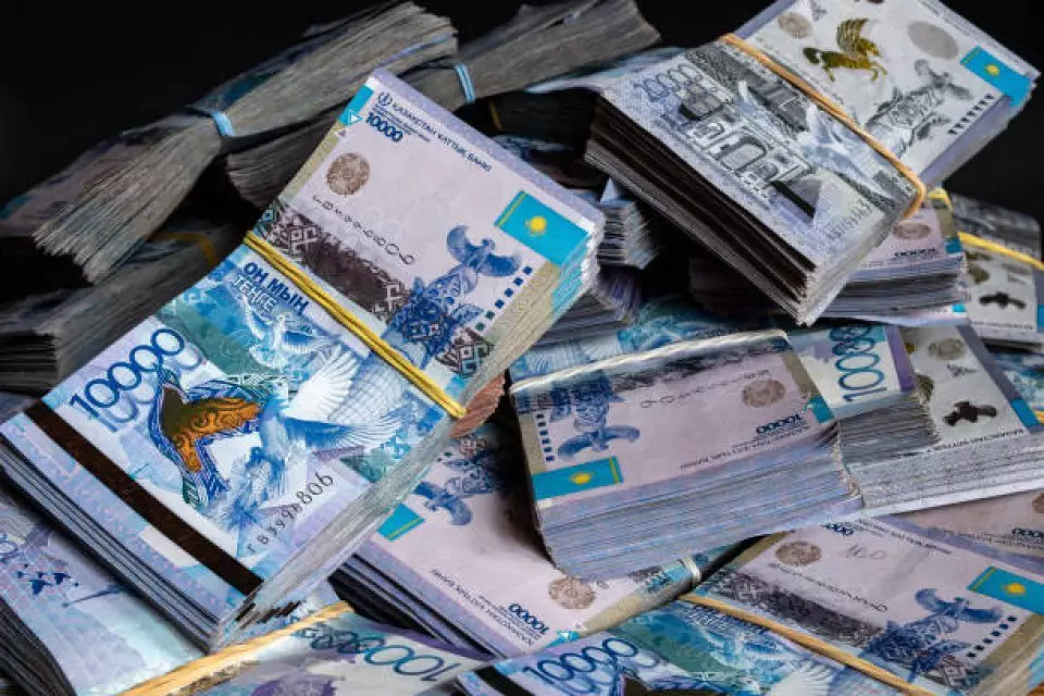 Қаржы министрлігі: «Референдумға ақшаны мемлекеттік резервтен аламыз»