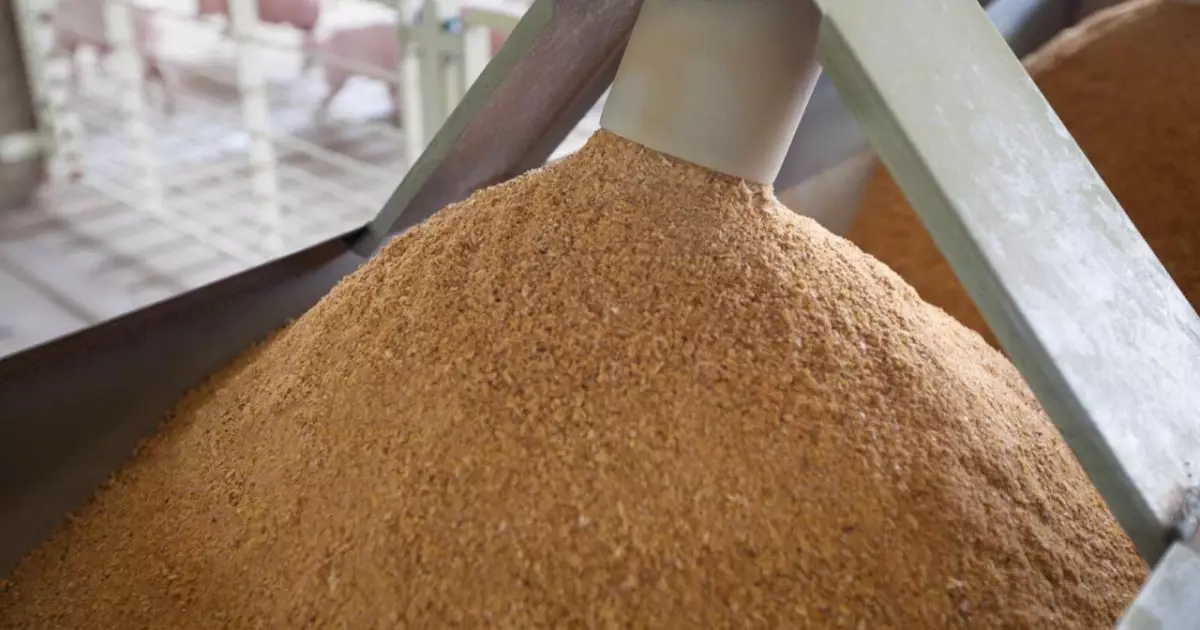   Қытайға жемдік ұн тиелген контейнерлік пойыз жөнелтілді   