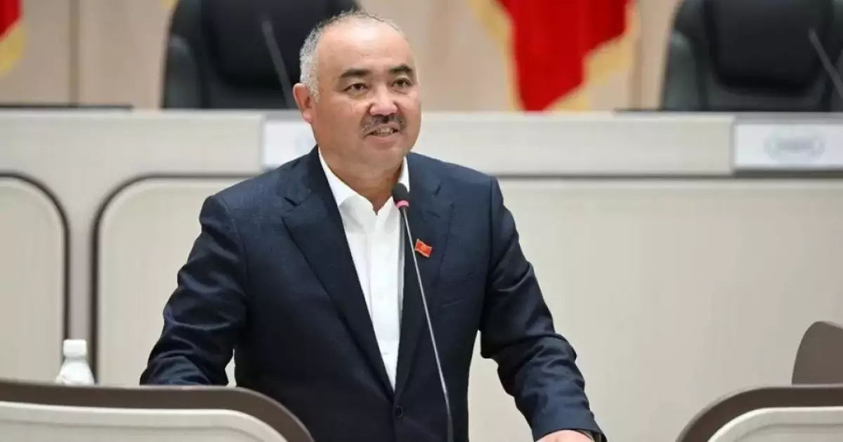  Қырғыз парламентінің спикері отсавкаға кететін мәлімдеді 