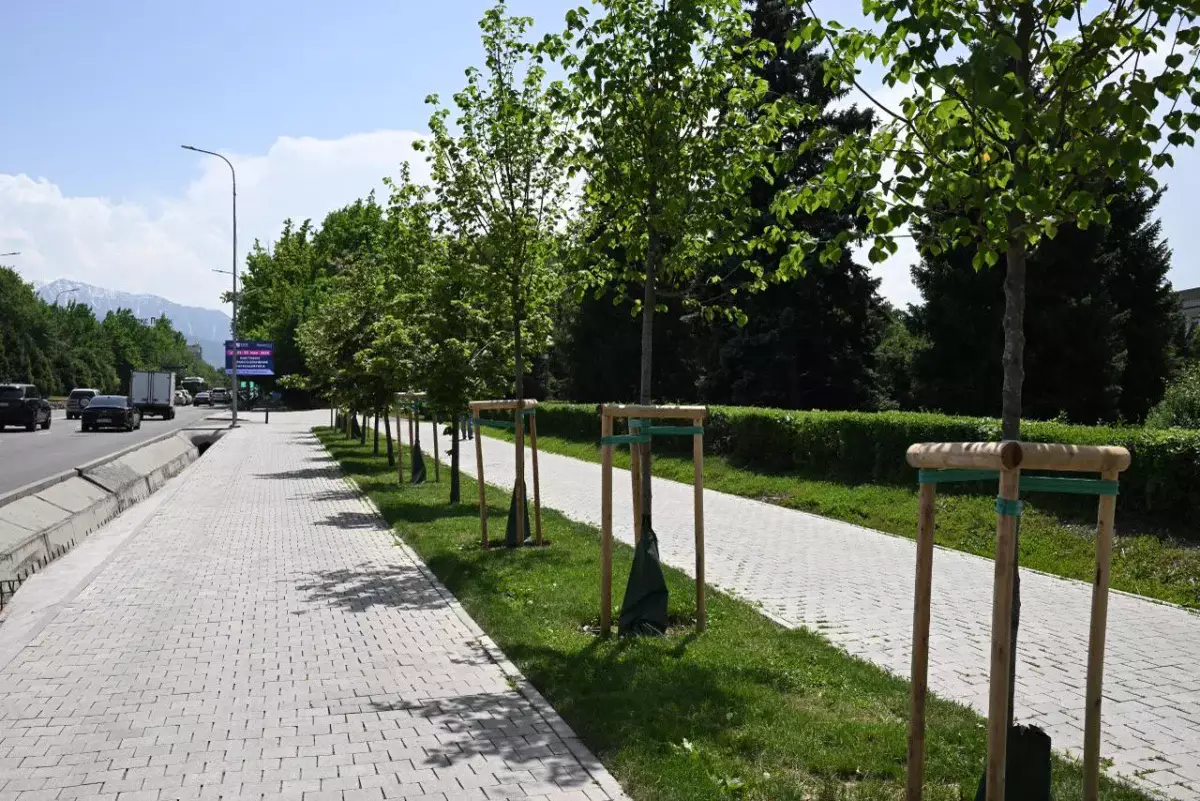2030 жылға қарай Алматыда бір тұрғынға шаққандағы жасыл желекпен қамтамасыз ету көрсеткіші 15 шаршы метрге дейін ұлғайтылады