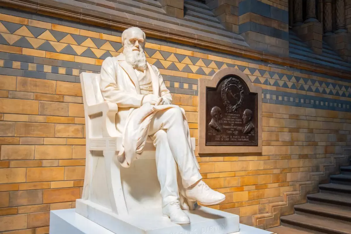 Международный день науки и гуманизма отмечают в мире 12 февраля