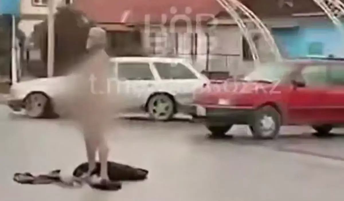 Голый мужчина на проезжей части шокировал жителей Жамбылской области (ВИДЕО)