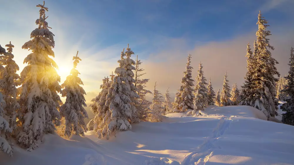 Астанада күн жылиды, ал Алматыда қар аралас жаңбыр жауады