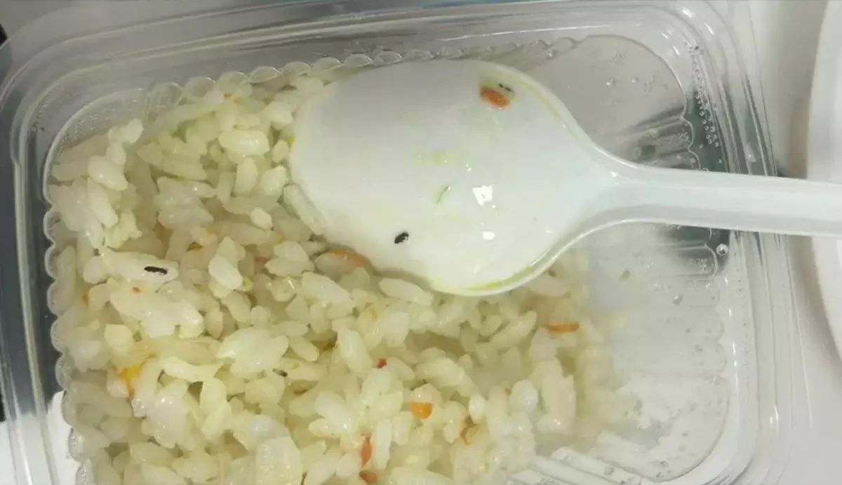 Насекомые в еде: в детской инфекционной больнице Караганды разгорелся скандал