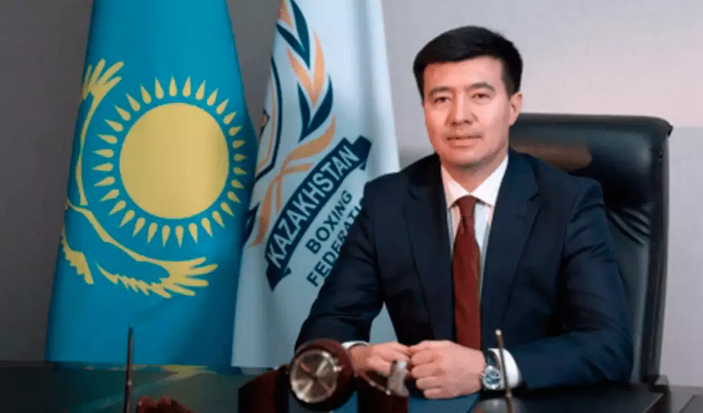 Президент Федерации бокса Казахстана поддержал проект новой Конституции