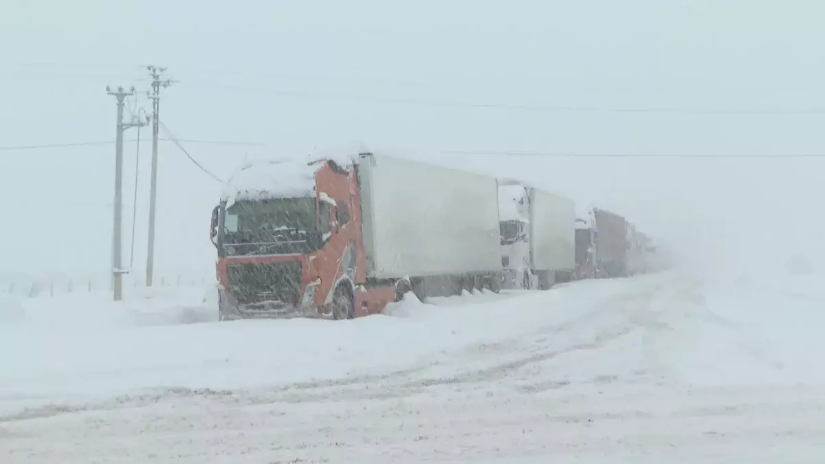 Жамбыл облысында 1200-ден аса жүк көлігі жол бойында кептеліп қалды