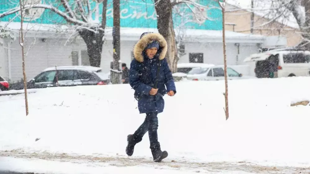 Часть школьников в Астане будет учиться дистанционно 13 февраля