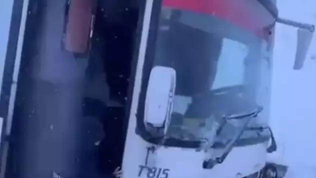 Жамбыл облысында автобус жеңіл көлікпен соқтығысты: қаза тапқандар бар