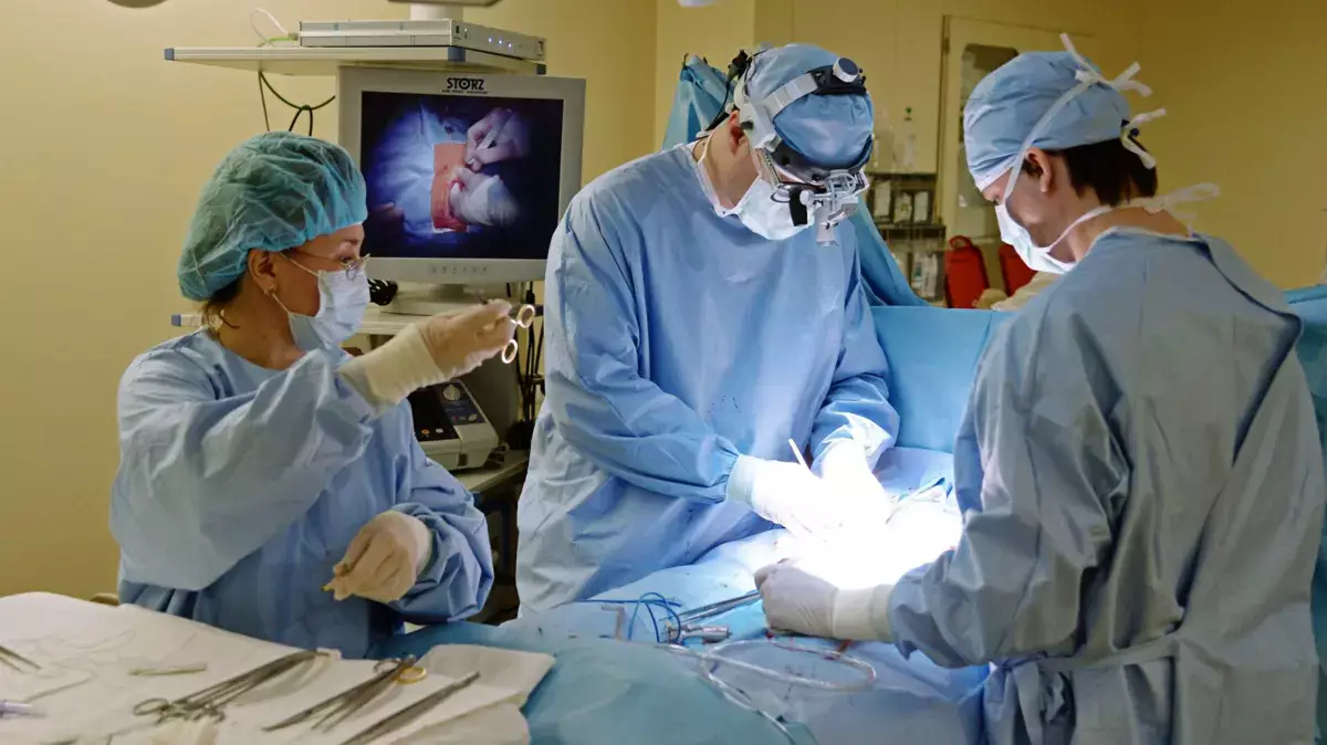 Казахстан и Беларусь совместно открывают новые возможности для будущих врачей - новости на Lada.kz 12.02.2026