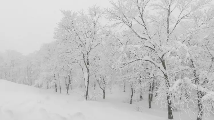 Қар, көктайғақ, тұман: 14 облыста дауылды ескерту жарияланды