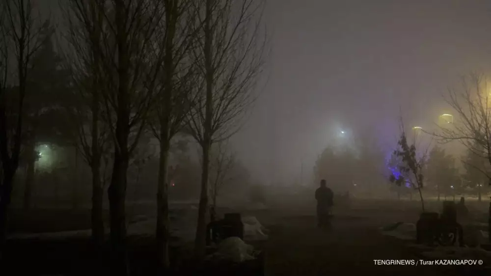 Метель, гололёд, туман: какой будет погода в Казахстане 13 февраля