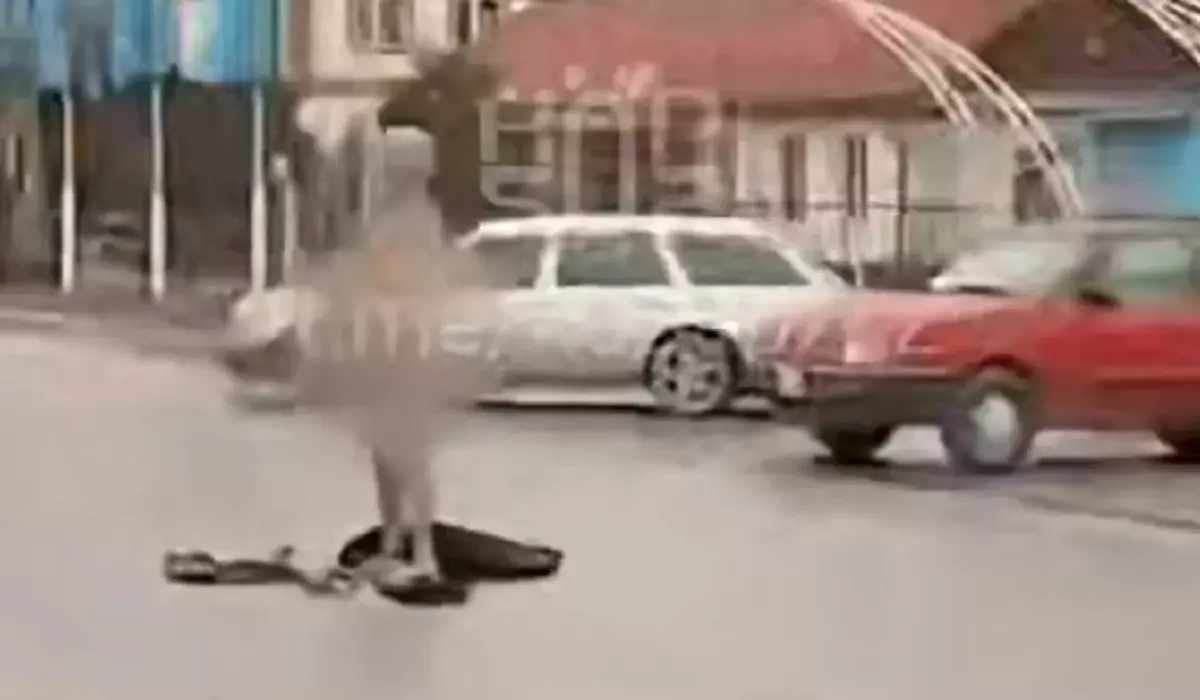 Қордайда ішіп алған ер адам көшенің қақ ортасында тыр жалаңаш жүрді (ВИДЕО)