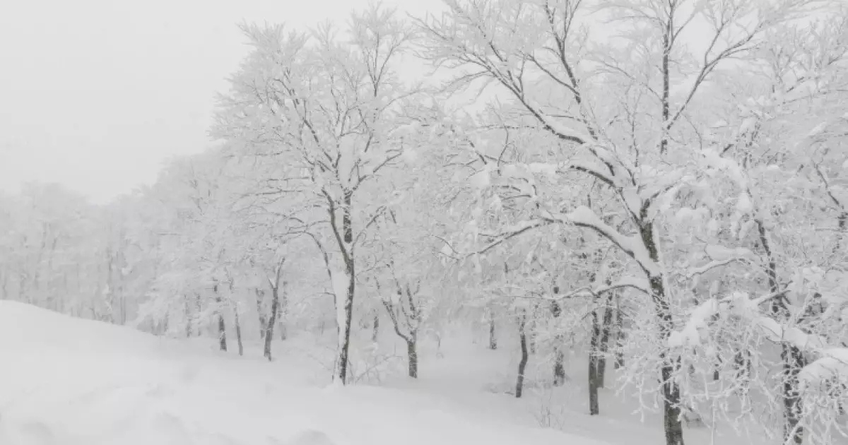  Қазгидромет ауа райына байланысты ескерту жасады 