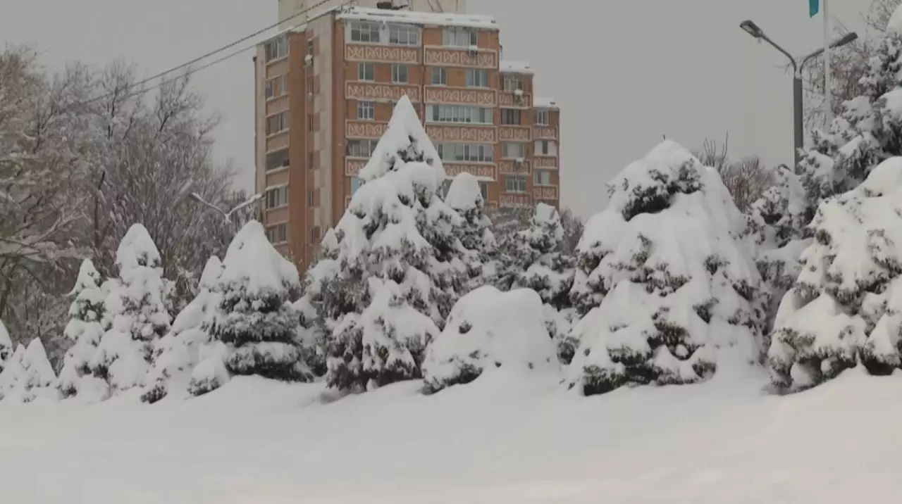Последствия сильного снегопада устраняют в Таразе. LIVE