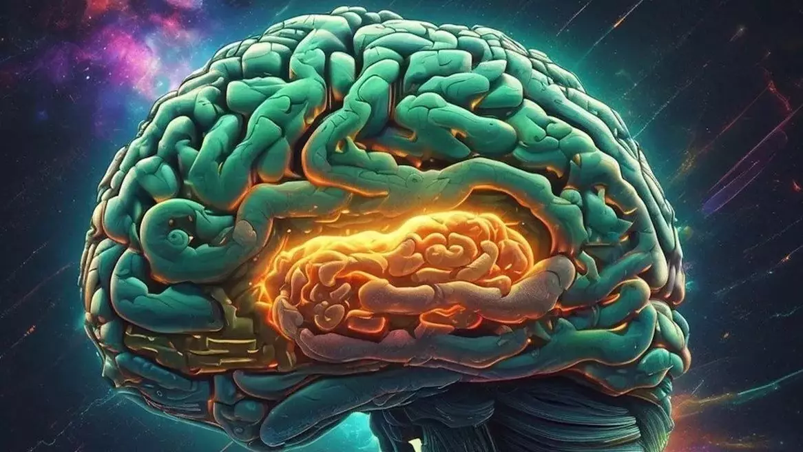 Саусақтардың ұзындығы адам миының көлеміне тікелей әсер етеді – ғалымдар